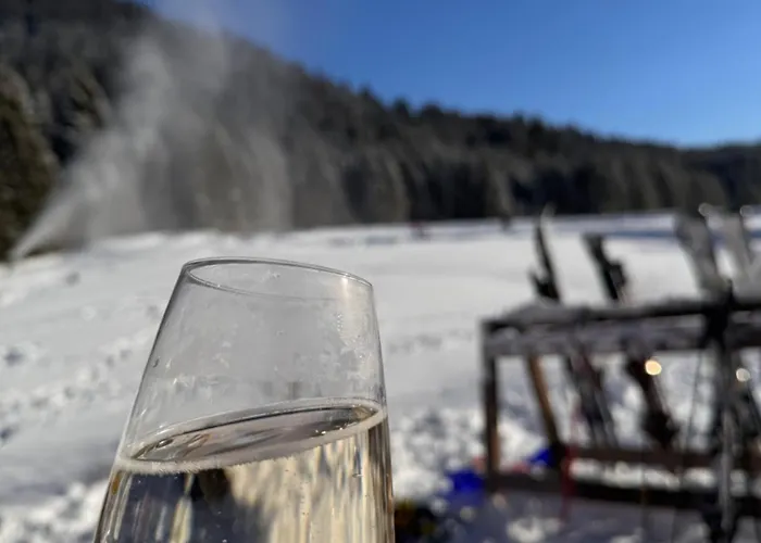 Bavaria Mountain Design Arber Osser Terrasse Sauna In Mit Bergblick Bis 6 Pers Hohenwarth